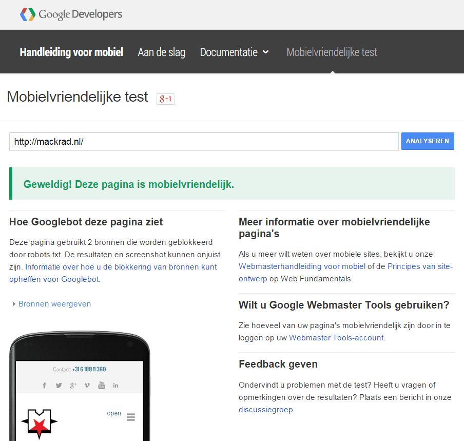 Screenshot van Mobielvriendelijke test van Google.